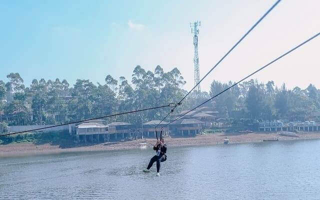 Flying Fox